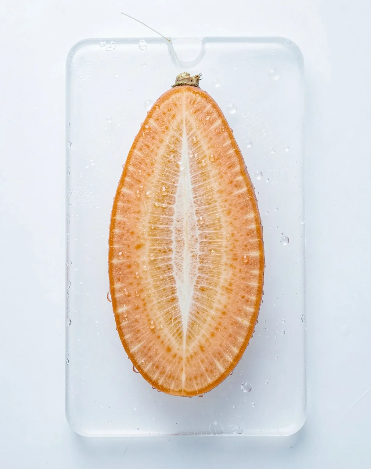Macro structură vegetală